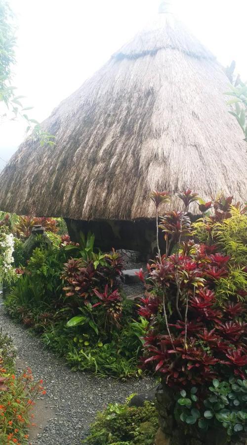 Ddd Heritage Inn Banaue Kültér fotó